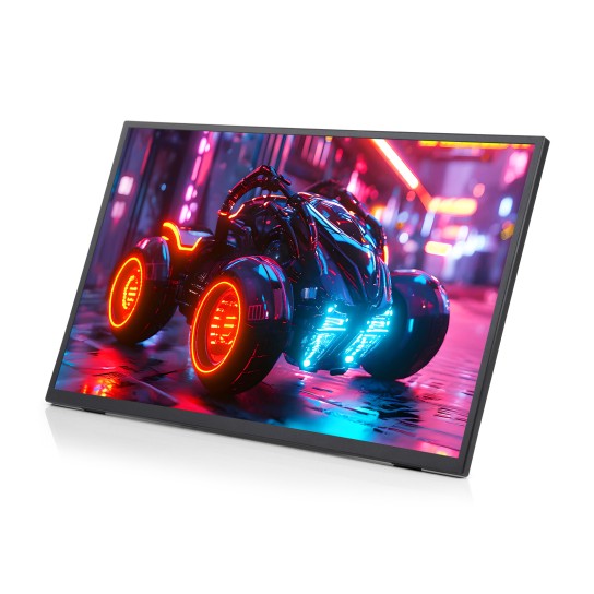 18.5 英寸便携式高清显示器