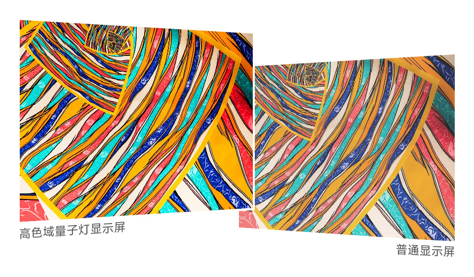 10.1 英寸 DSI 显示屏触控屏采用高色域量子点技术