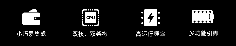 Pico-2开发板，并带有特性图标如： 小巧易集成，双核双架构